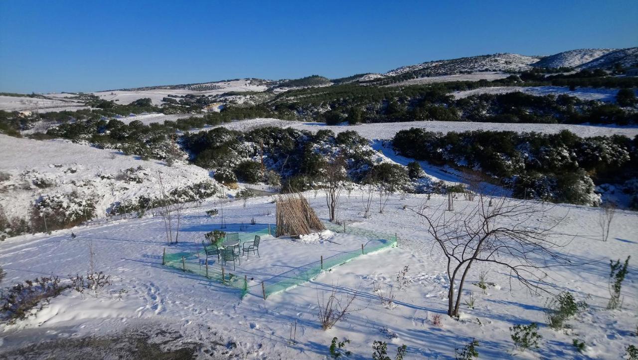 Stylish villa in Salonica's nature Agios Antonios  Esterno foto